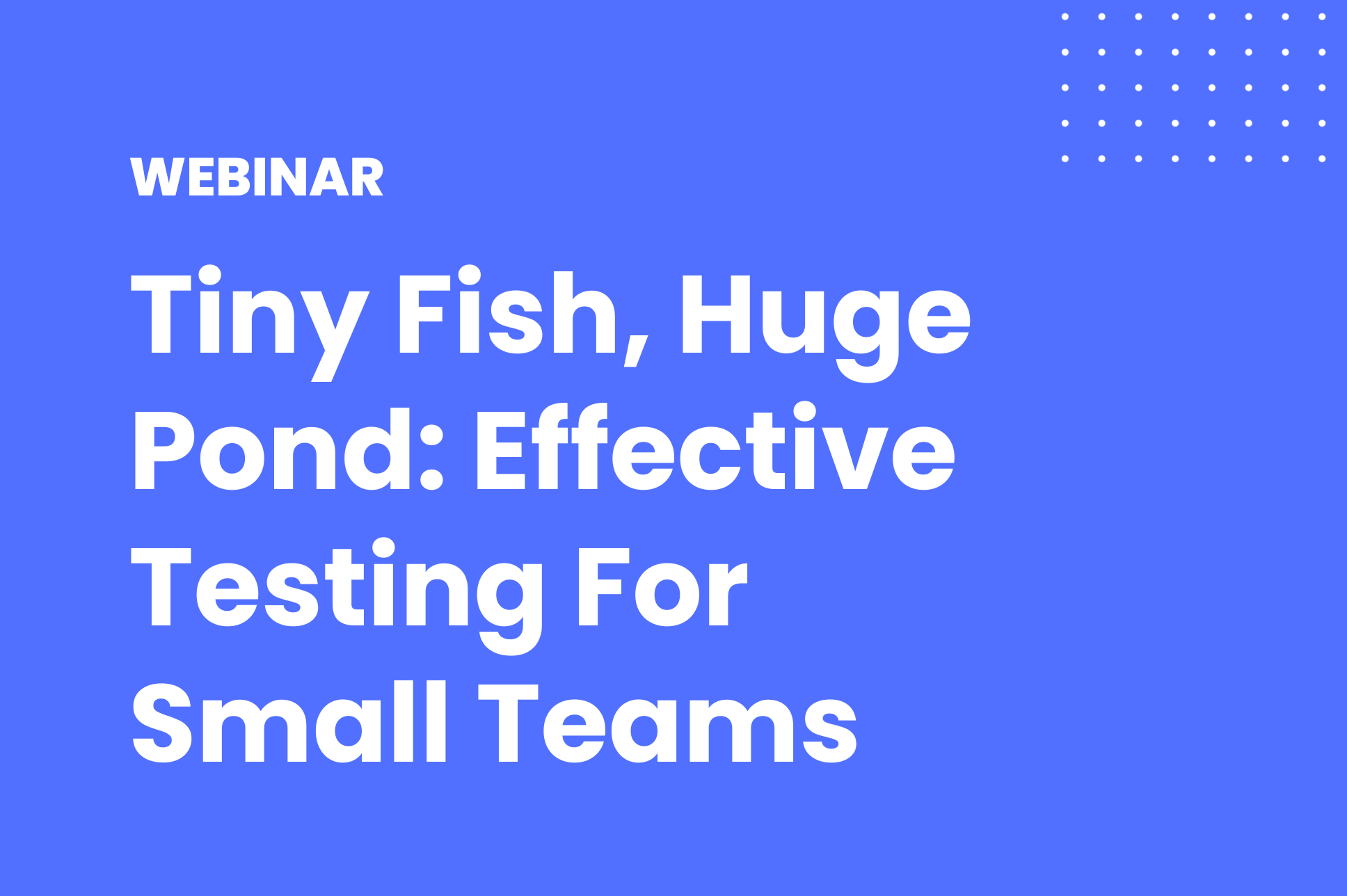 Tiny Fish, Huge Pond Effective Testing For Small Teams