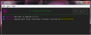 image of appium server running on 0.0.0.0:4723