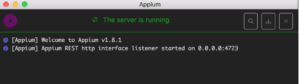 image of Appium Server running on 0.0.0.0:4723