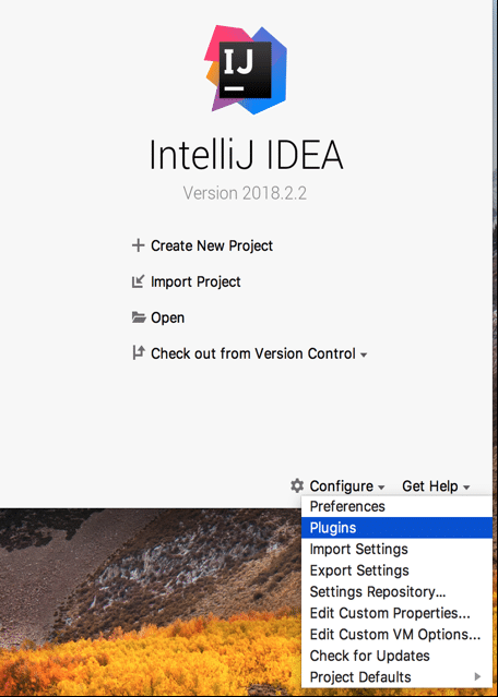 Image of IntelliJ IDEA plugins