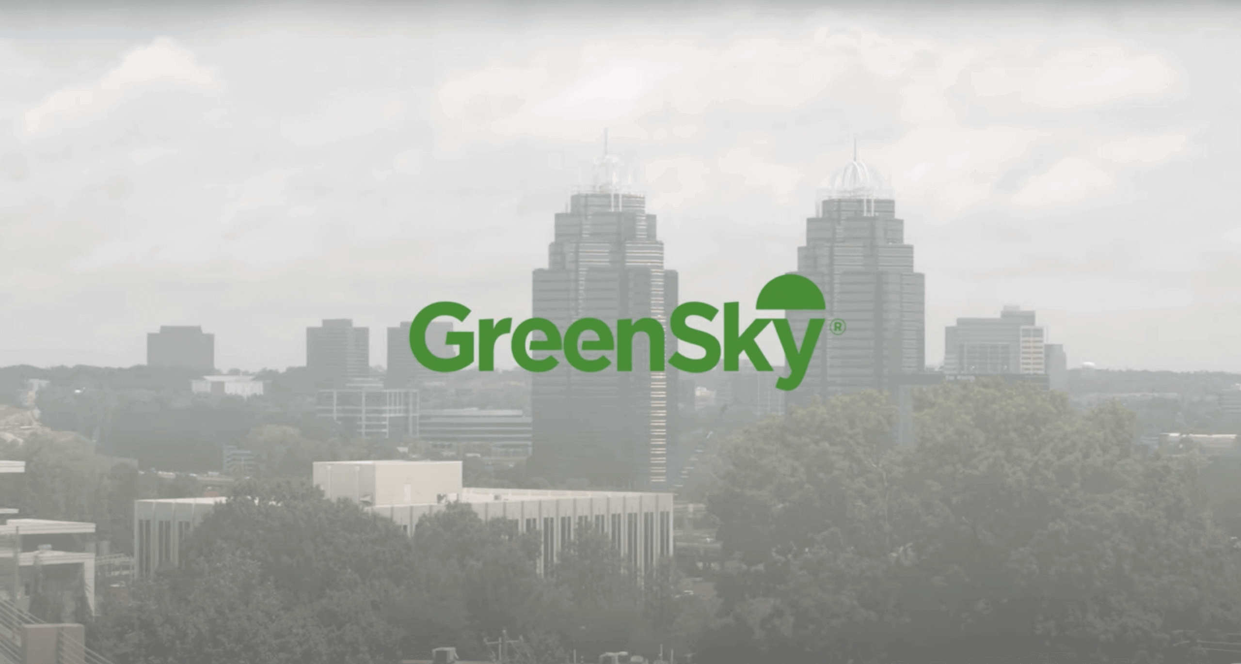 Green sky logo