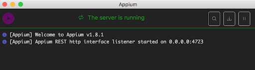 image of connecting to appium's server