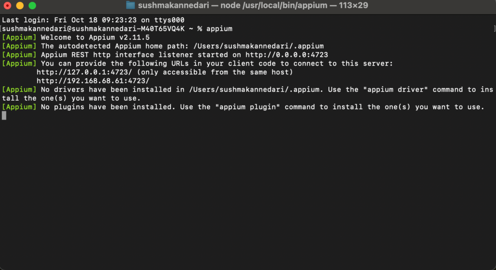 Terminal screenshot showing Appium 2.0 server startup with autodetected home path and URLs for the Appium REST HTTP interface listener